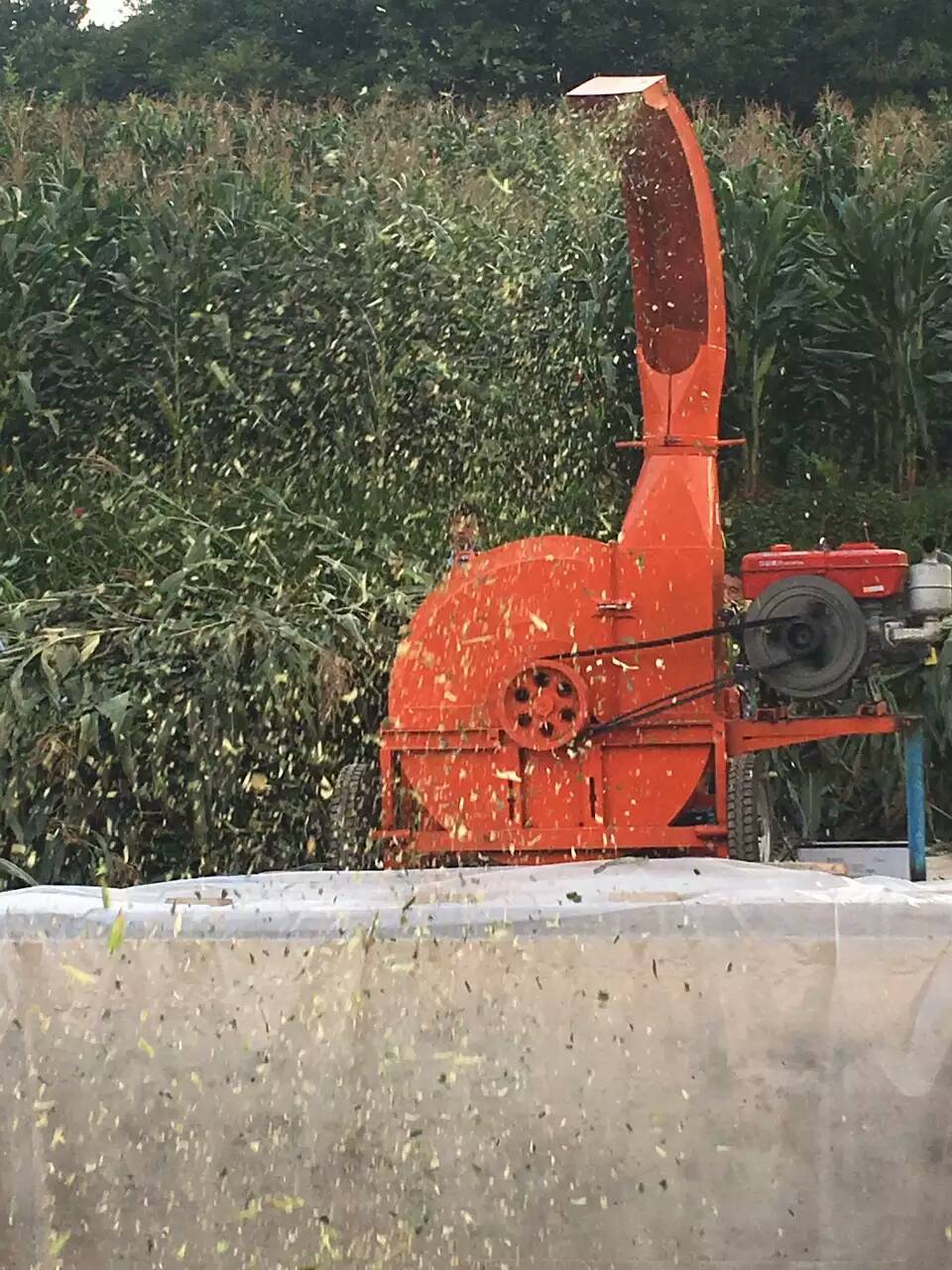 內(nèi)蒙古大型10噸鍘草機揉絲機視頻多少錢一臺？