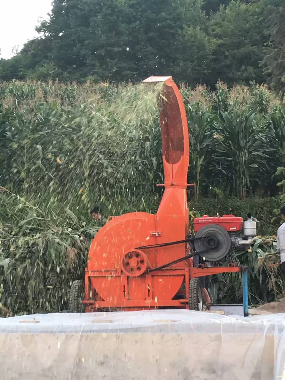 2022新款10噸雙變速箱鍘草揉絲機(jī)多少錢一臺(tái)？
