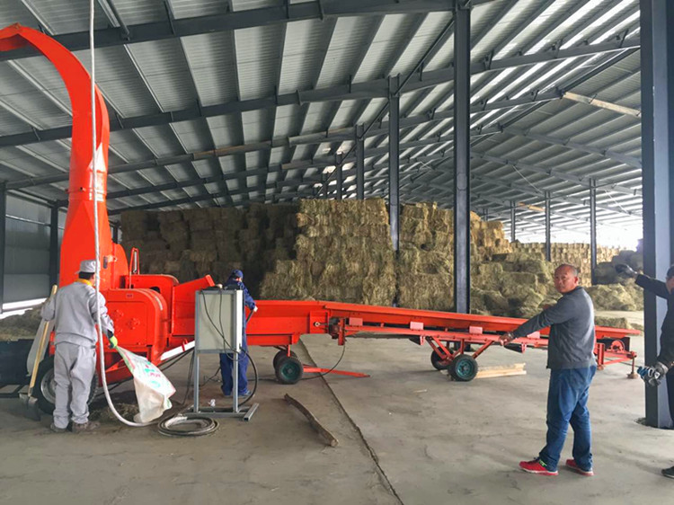 云南大型30噸鍘草機(jī)加分料機(jī)組合