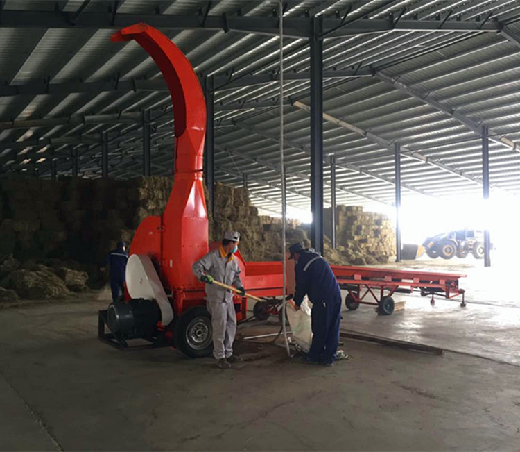 華億兄弟大型30噸鍘草機和分料機的組合視頻