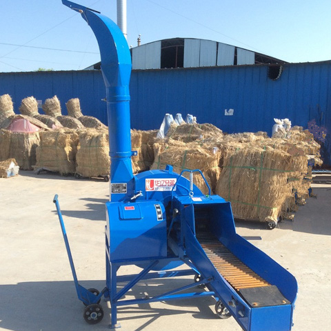 客戶用兩個(gè)電機(jī)帶動(dòng)鍘草機(jī)你看行嗎？